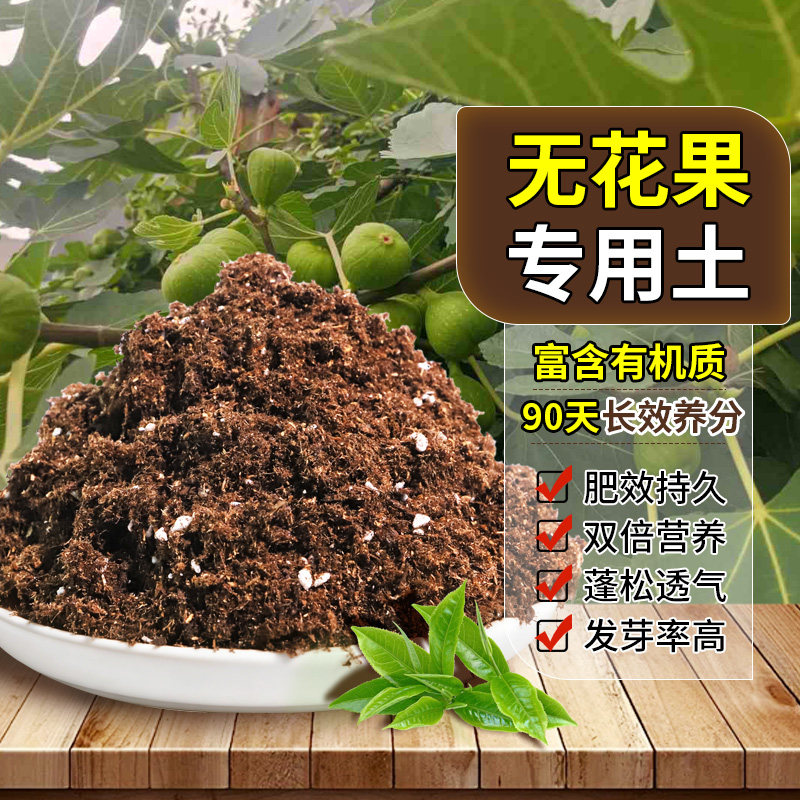 无花果专用轻质园艺土疏松透气盆栽营养土精选球根室内木本不板结