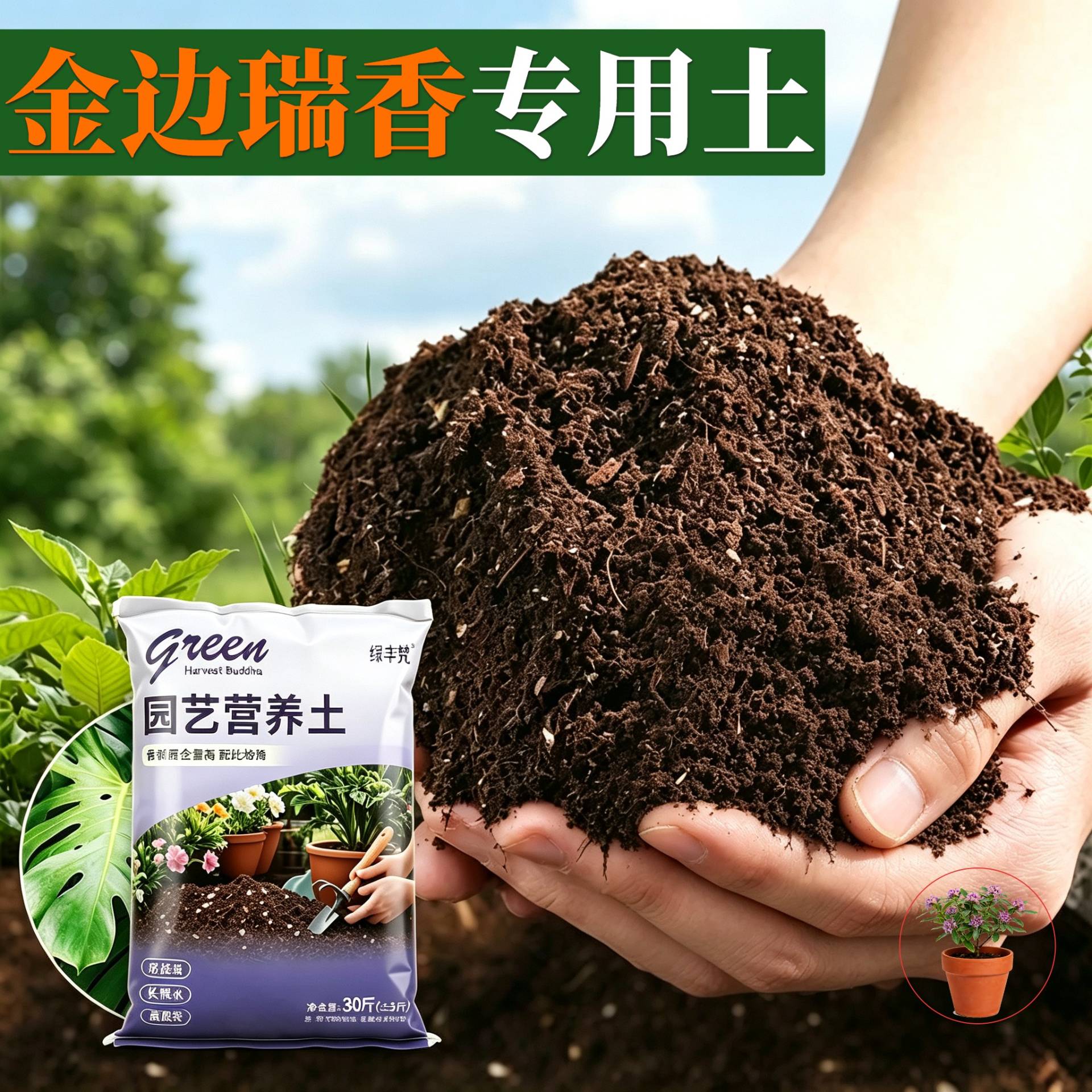 金边瑞香适用栽培土不闷根园艺包邮有机增色观叶加珍珠岩盆景土