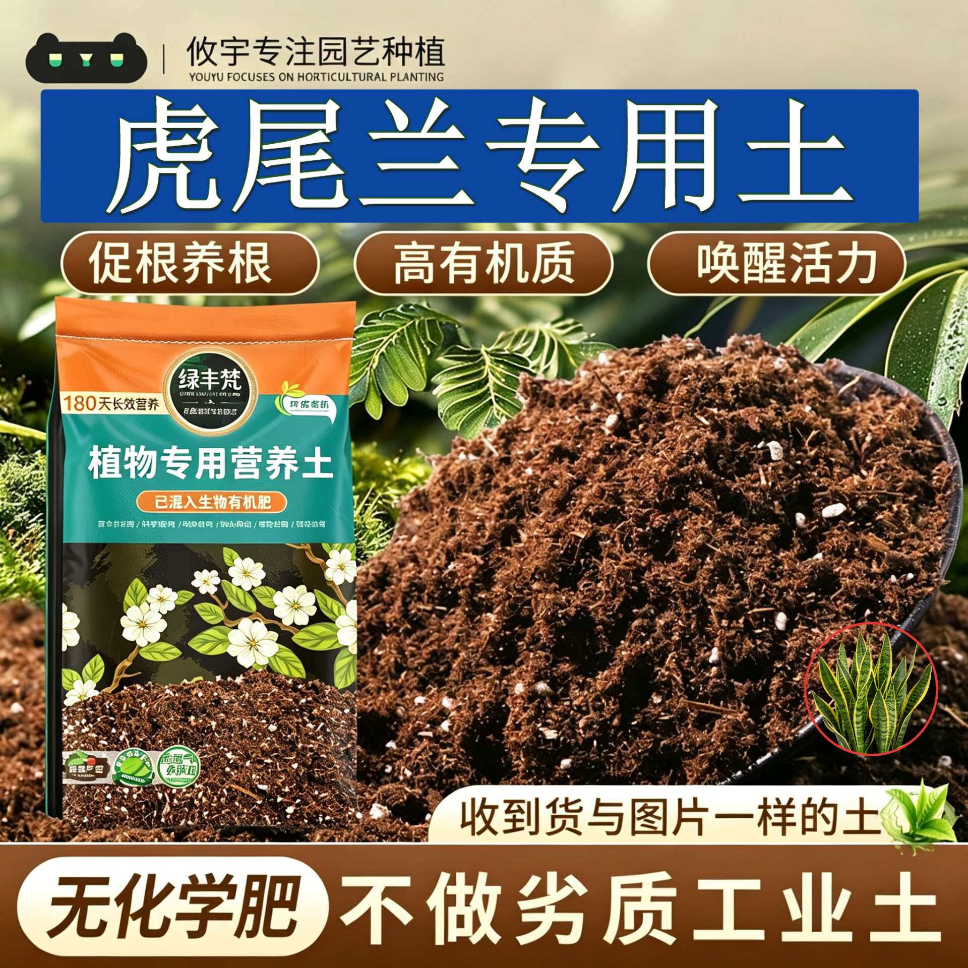 虎尾兰适用土壤防烂根盆栽营养土轻量基质促生长无草籽球根花卉