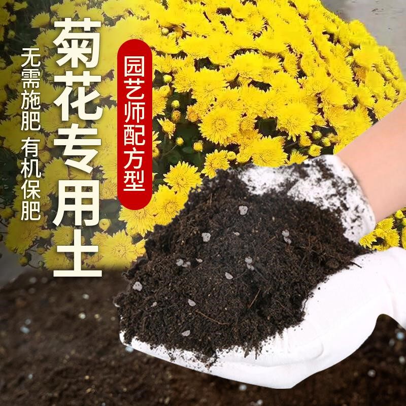 菊花专用土肥料有机土泥土透气盆栽土种花育苗花土室内菊花营养土
