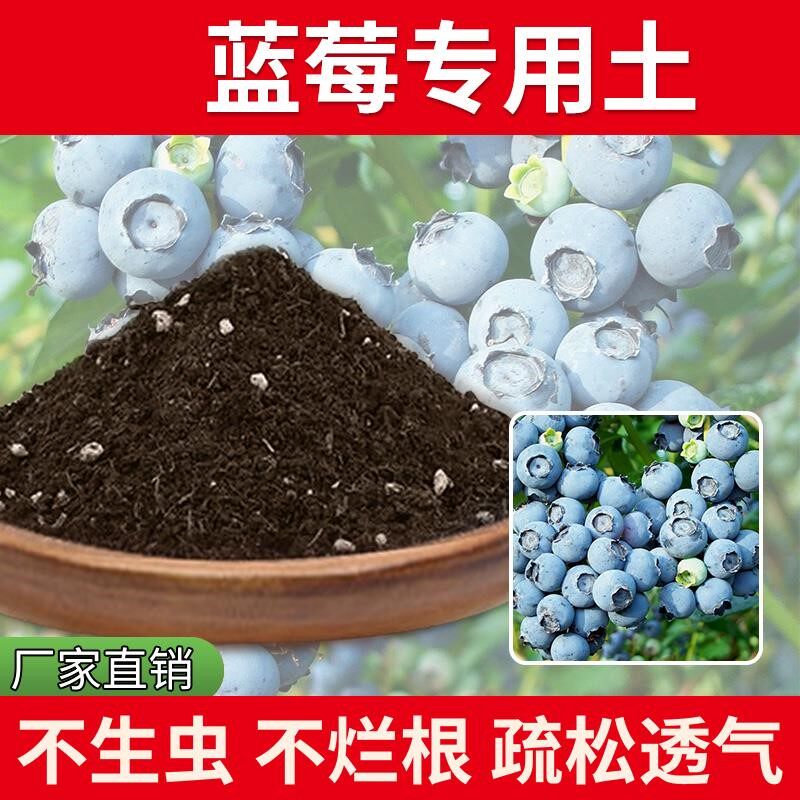 蓝莓专用土果树种植土种树盆景专用土泥土家庭阳台室内植物果苗