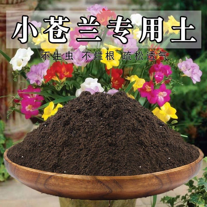 小苍兰专用土小苍兰土盆栽营养土通用种花养花泥土壤种植土有机肥