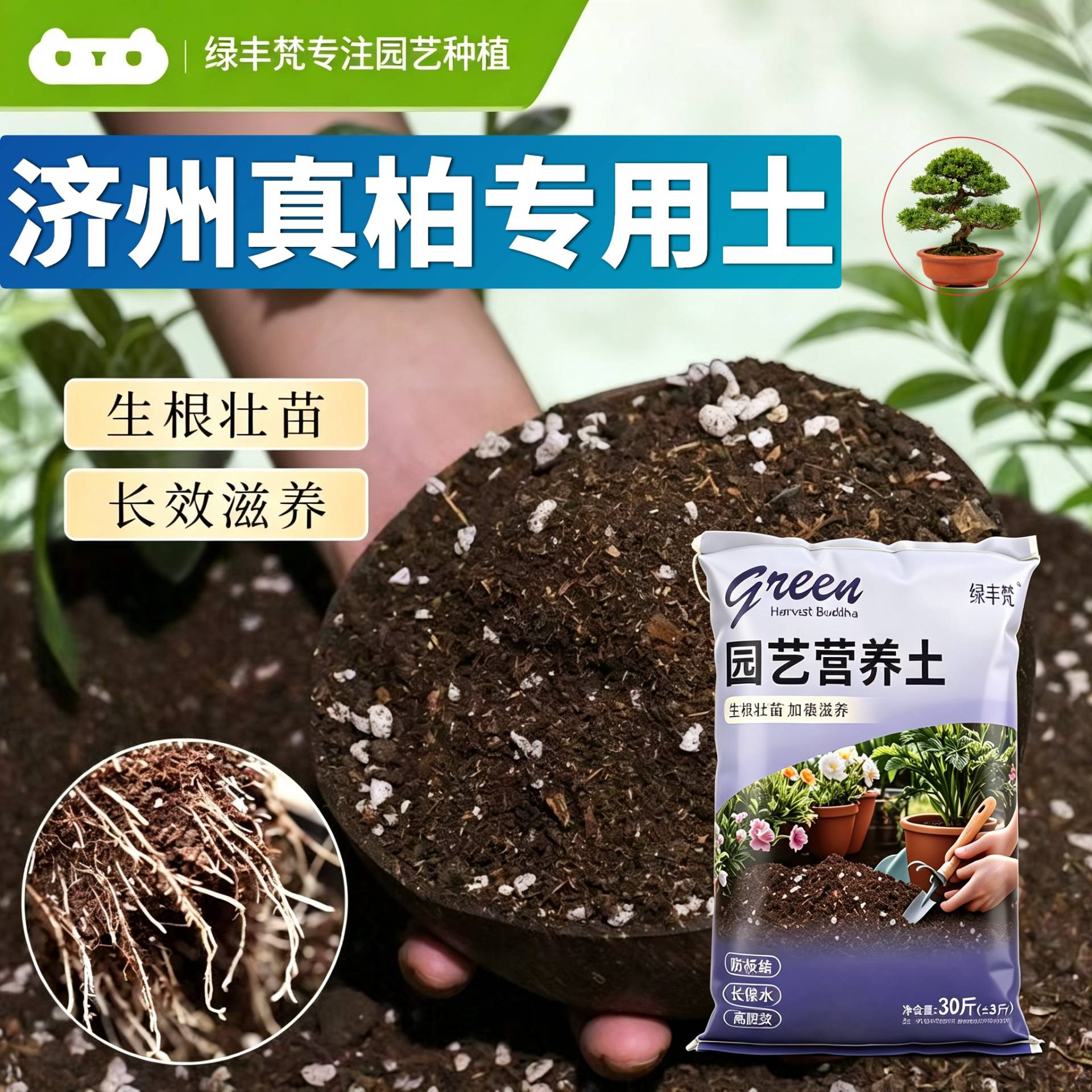 济州真柏适用有机土不闷根防烂根花园加牛粪有机防徒长观叶盆景土