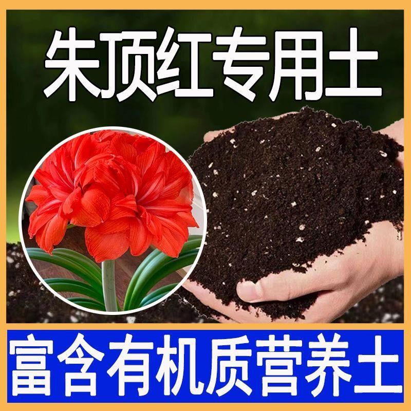 朱顶红专用土朱顶红营养土盆栽疏松透气种植土绿植土有机肥养花土