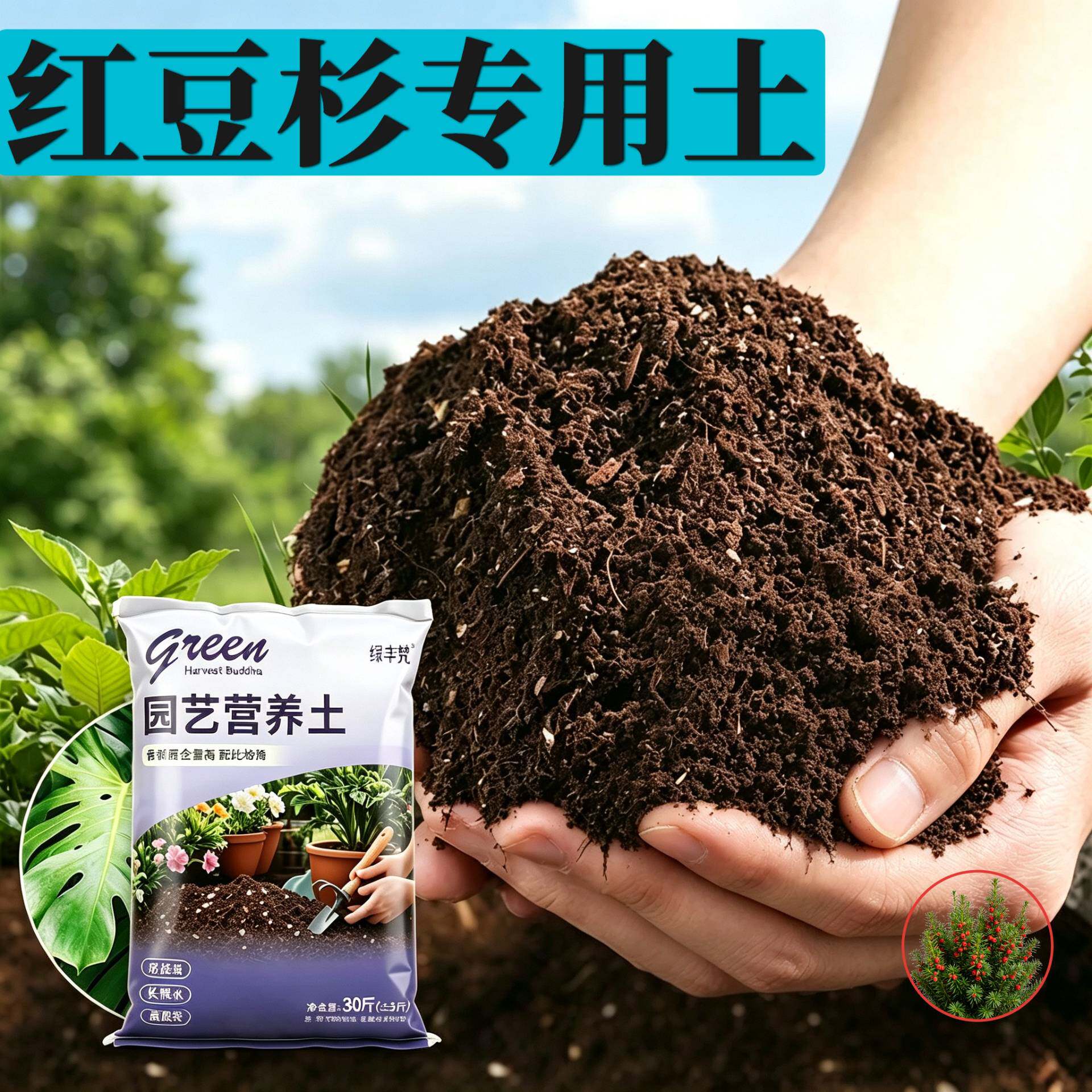 红豆杉适用营养土防烂根花园大包精选防黄叶观花含泥炭壮根泥炭土