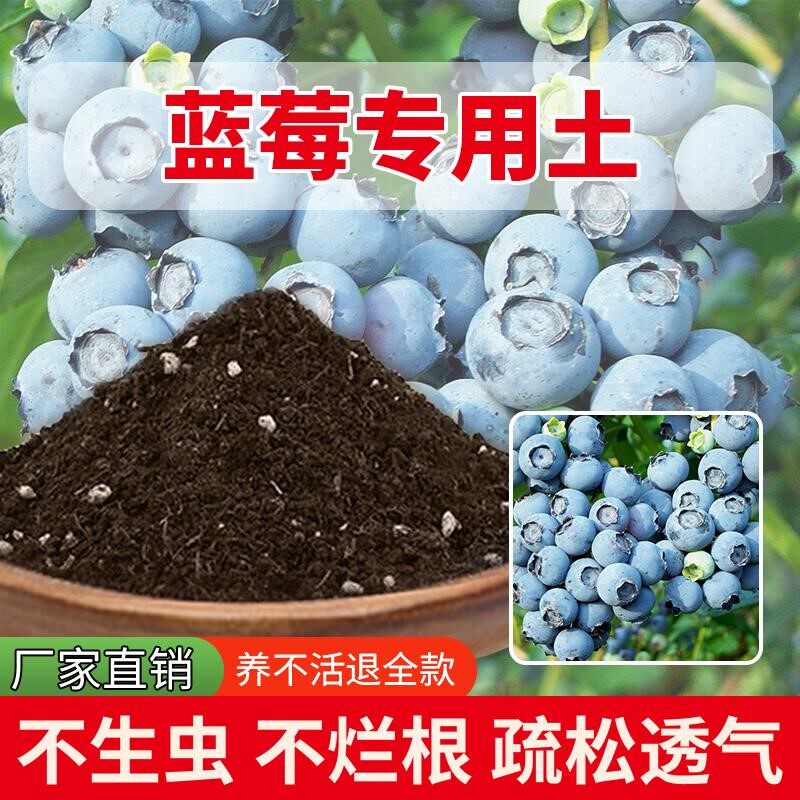 蓝莓专用土包邮家庭水果天然疏松阳台室内养花专用土农业植物有机
