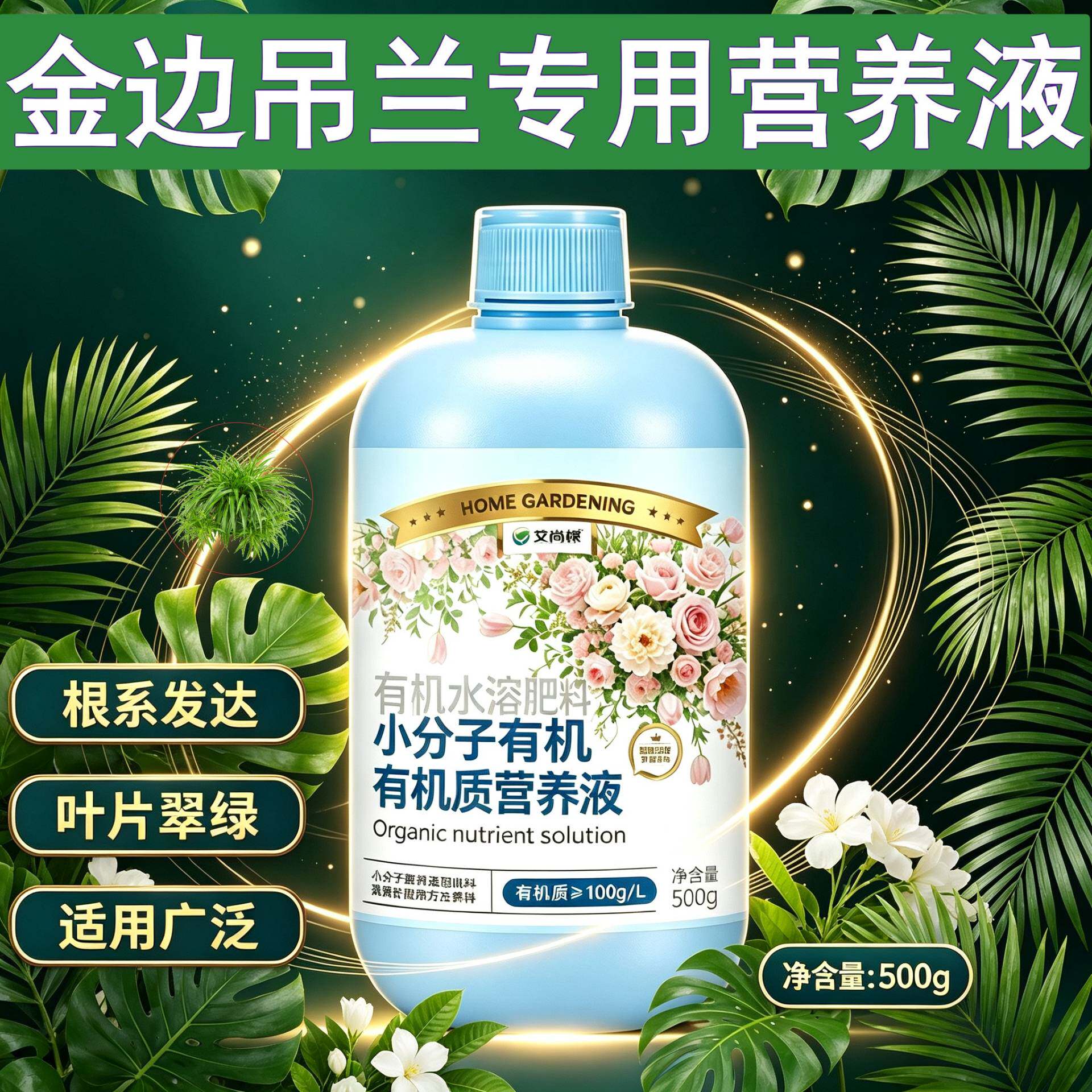 金边吊兰适用小分子有机质水溶肥观叶型营养液兑水即用园艺盆栽