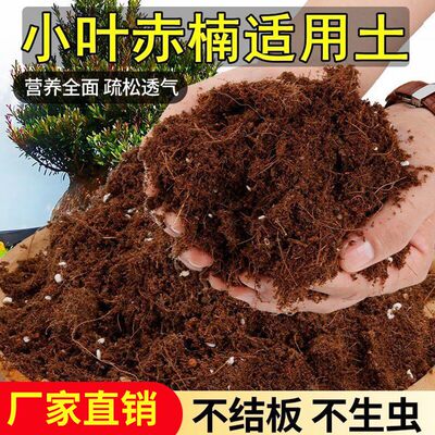 小叶赤楠适用土家庭园艺通用营养土养花绿植专用土肥料
