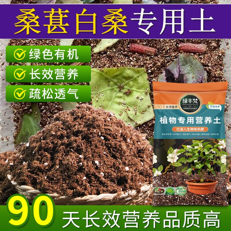 桑葚白桑专用腐殖土轻质好用室内盆栽土洁净基质增色无草籽喜酸