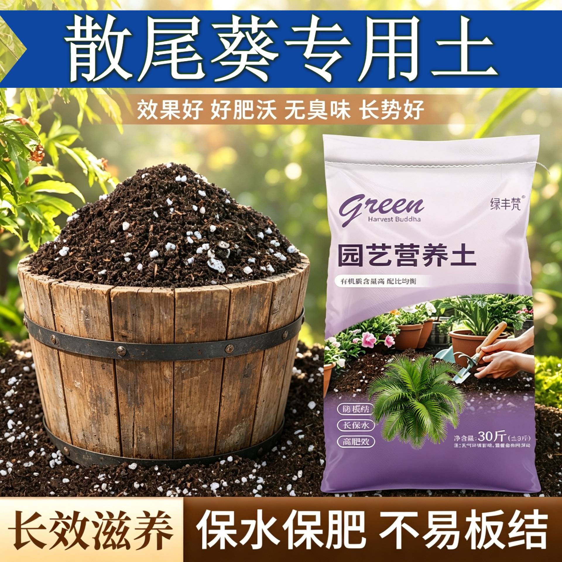 散尾葵适用栽培土不烂根不闷根盆栽加有机肥天然增色观叶壮根喜酸