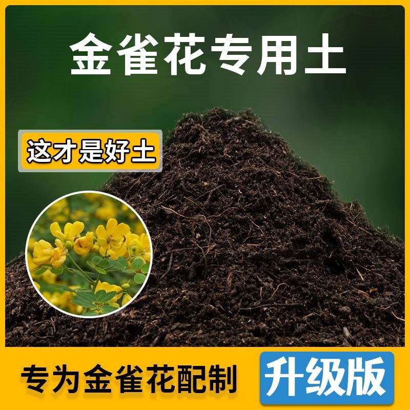 金雀花专用土金雀花营养土家用种植土壤家庭盆栽种花养花有机土