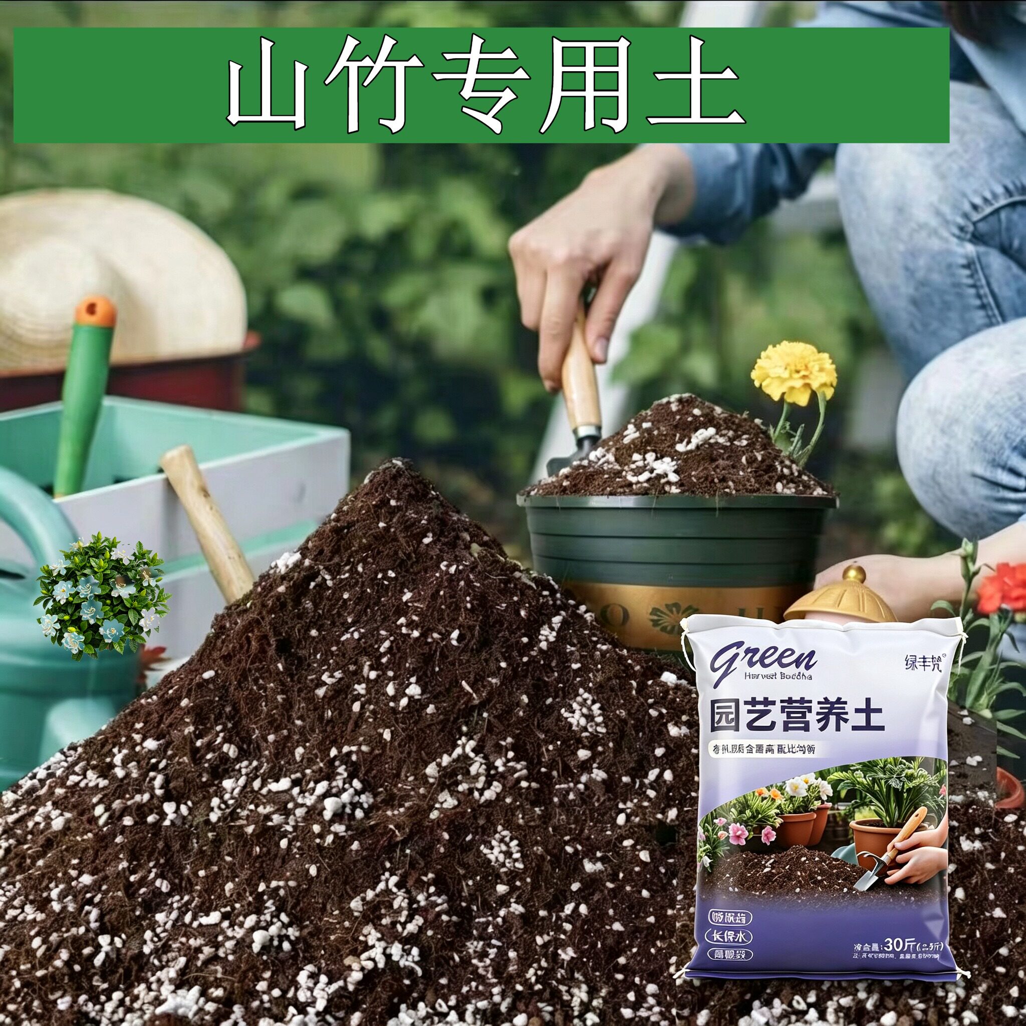 山竹适用栽培土加珍珠岩高温灭菌育苗泥炭基质天然促生长多肉花园