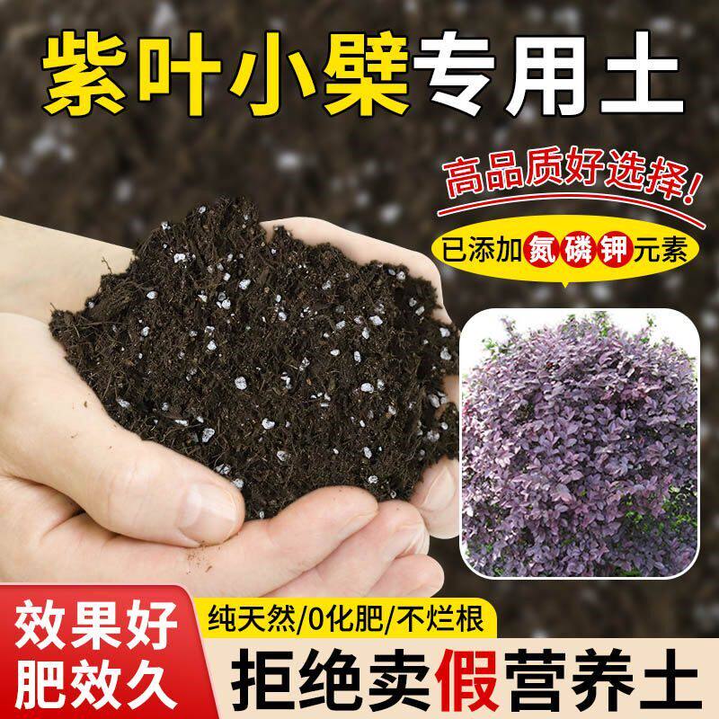 紫叶小檗专用土营养土透气疏松含泥炭肥料通用有机种植土土