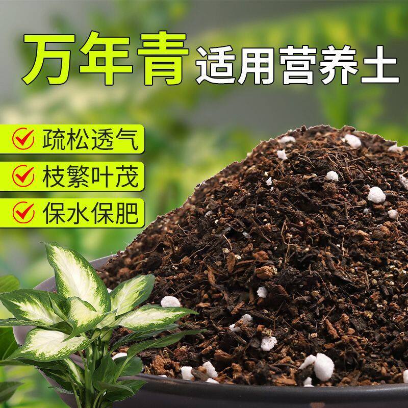 【万年青专用土】疏松透气盆栽绿植专用室内植物有机营养土肥料