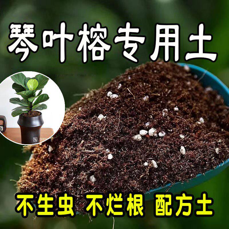 琴叶榕专用营养土 琴叶榕专用土 盆栽有机土花土种花养花种植土壤