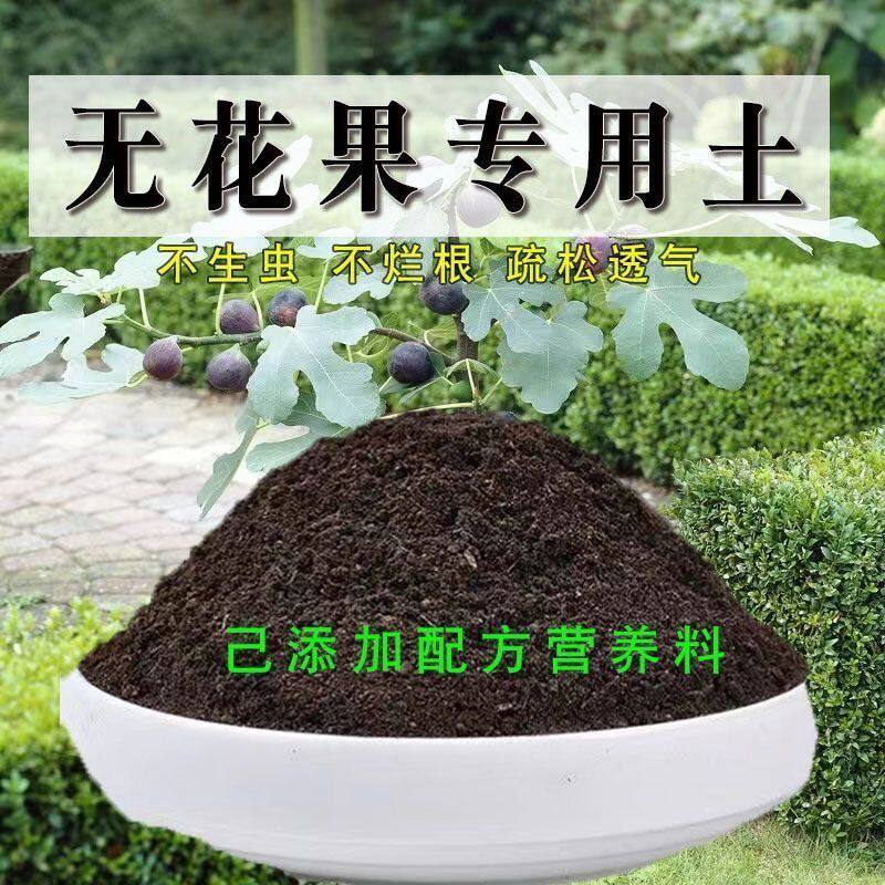 无花果专用土无花果专用营养土盆栽绿植土养花土壤种植土有机肥料