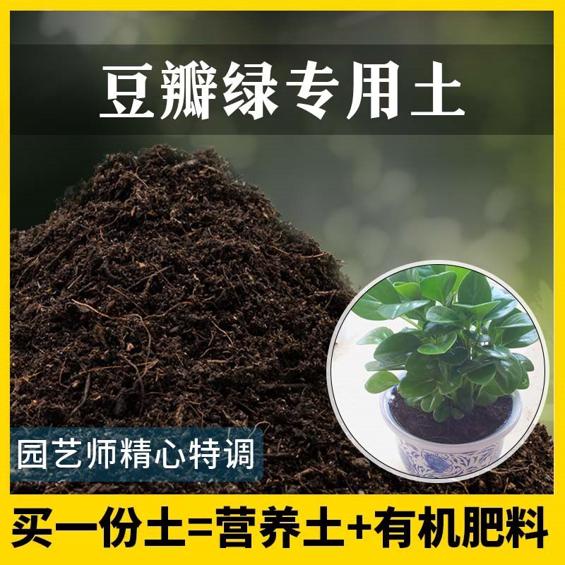 豆瓣绿专用土家用养花有机土壤种植土豆瓣绿营养土植物种花盆栽土