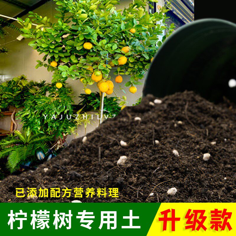 柠檬树天然腐殖含泥炭腐叶土高温灭菌家庭园艺包邮椰砖土加珍珠岩