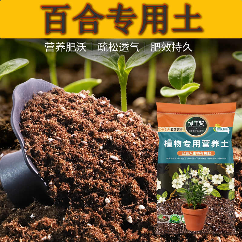 百合适用颗粒土配方土绿叶干湿循环好园艺盆栽土种植土菜园屋顶