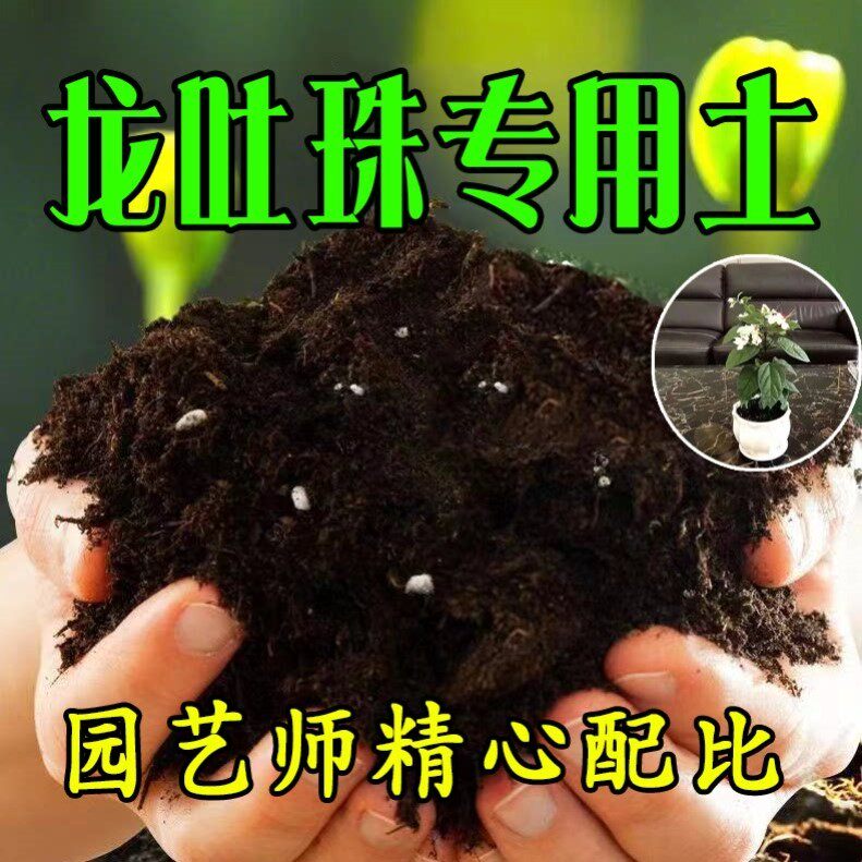 【龙吐珠专用土】营养土家庭盆栽绿植室内植物肥料种植土