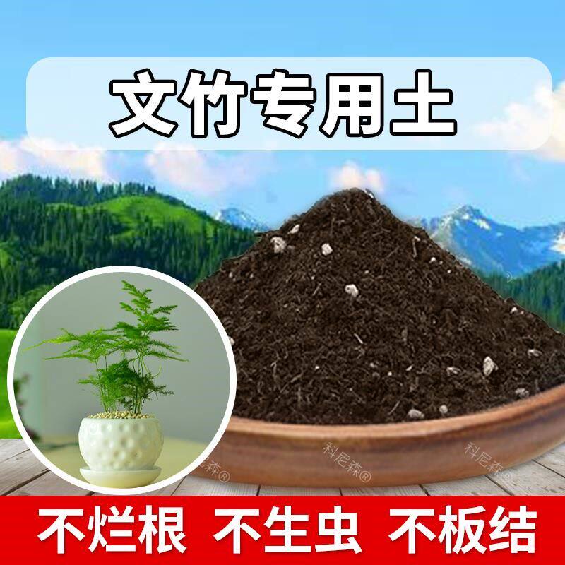 文竹专用土绿植育苗花土文竹专用肥料营养土种植植物有机土透气
