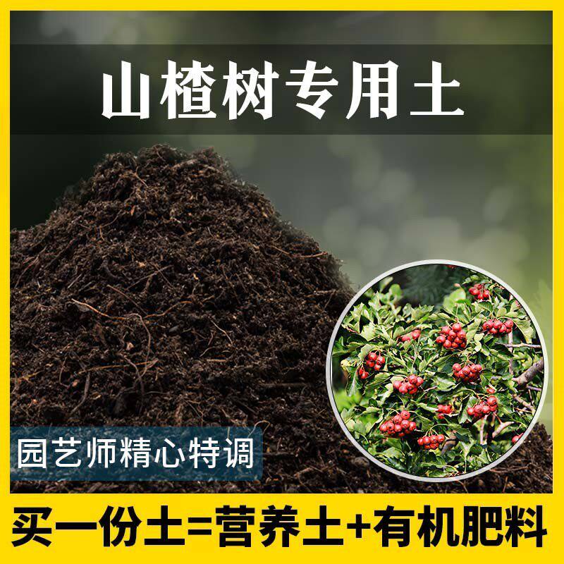 山楂树专用土农业果园种植土家庭果树有机泥土盆栽土山楂树营养土