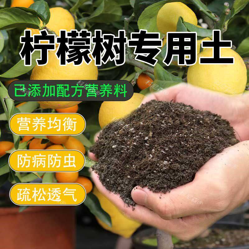 柠檬树专用土有机土阳台盆栽果树专用营养土肥料香水柠檬种植土壤