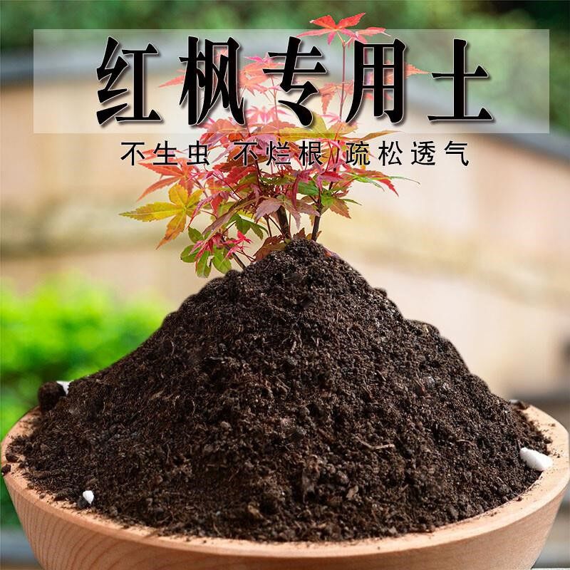 红枫专用土红枫专用营养土养花种花土通用种植土酸性土壤有机肥料