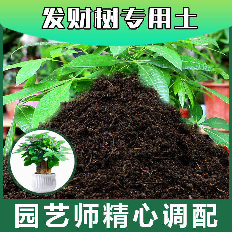 发财树专用土腐殖土种花养花盆栽绿植土发财树营养土种植有机土壤