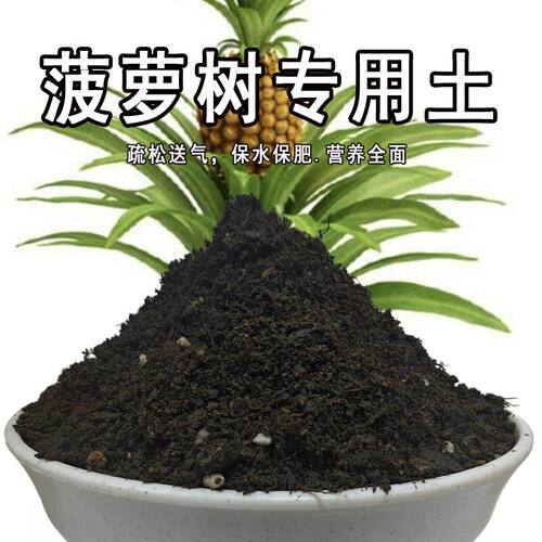 菠萝树专用土凤梨土盆栽营养土通用种花养花泥土壤种植土有机肥料