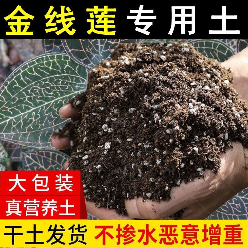 金线莲专用种植土疏松透气盆栽土室内植物营养土种花养花土壤肥料
