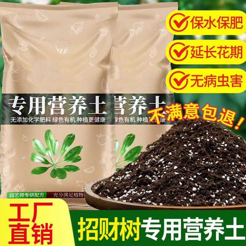 招财树专用营养土有机土八方来财盆栽种植养花土育苗优质有机肥料
