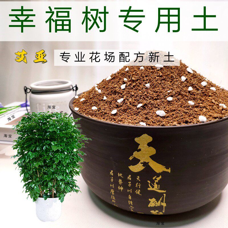 幸福树专用土轻质土绿宝培植土大型绿植配方通用型营养土阳台花卉
