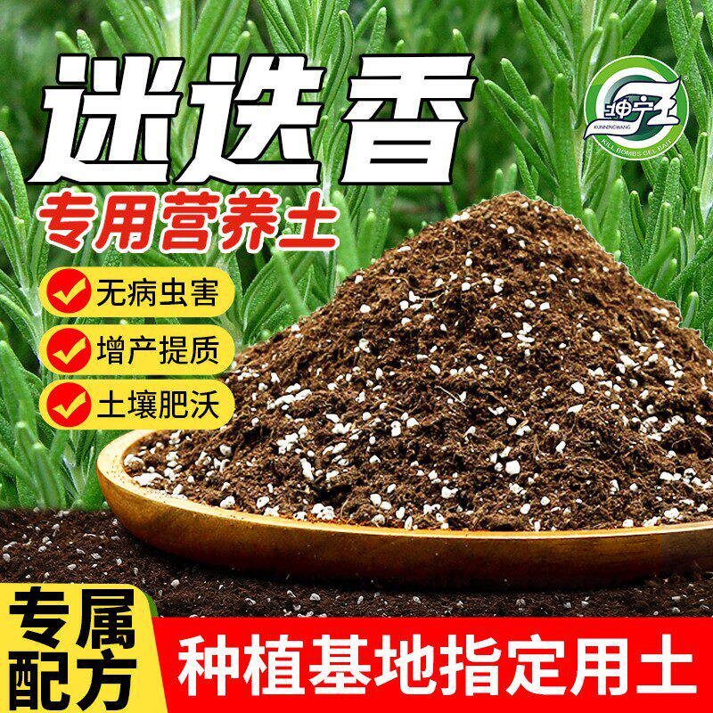 迷迭香专用土蔬菜种植土有机营养土驱蚊植物花卉百里香薄荷香草料