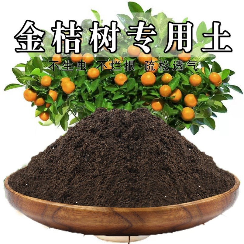 金桔专用土农业栽培土育苗有机肥黑土金桔专用营养土家庭透气包邮