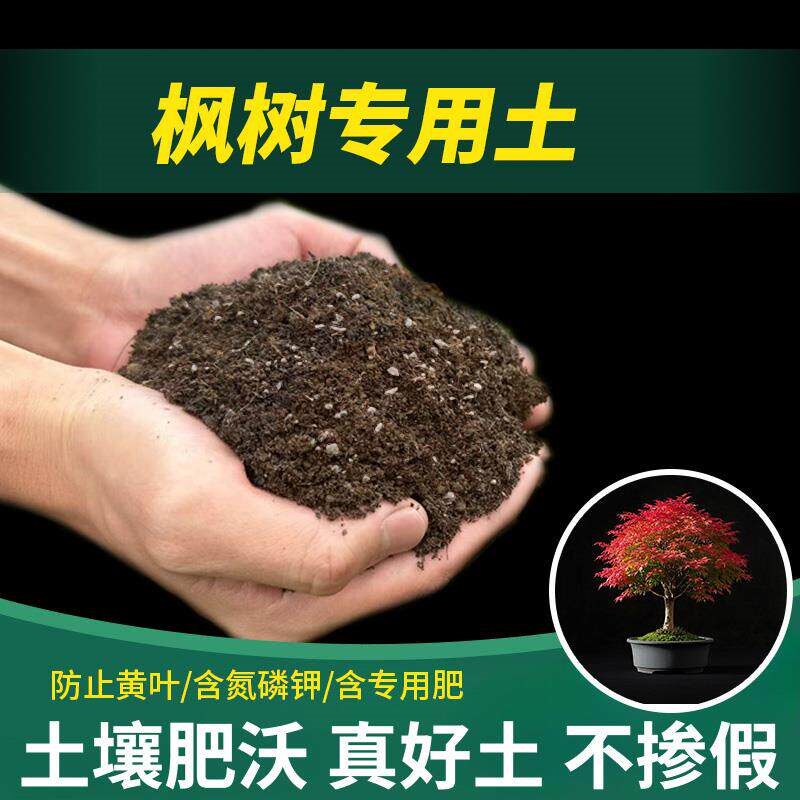 枫树专用土盆栽园艺种菜疏松枫树专用营养土花盆绿植花肥有机土图片