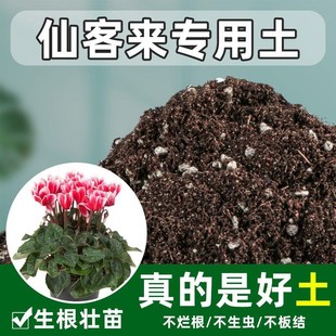 仙客来专用土养花通用型营养土家用土壤种植土腐殖土花土种花有机