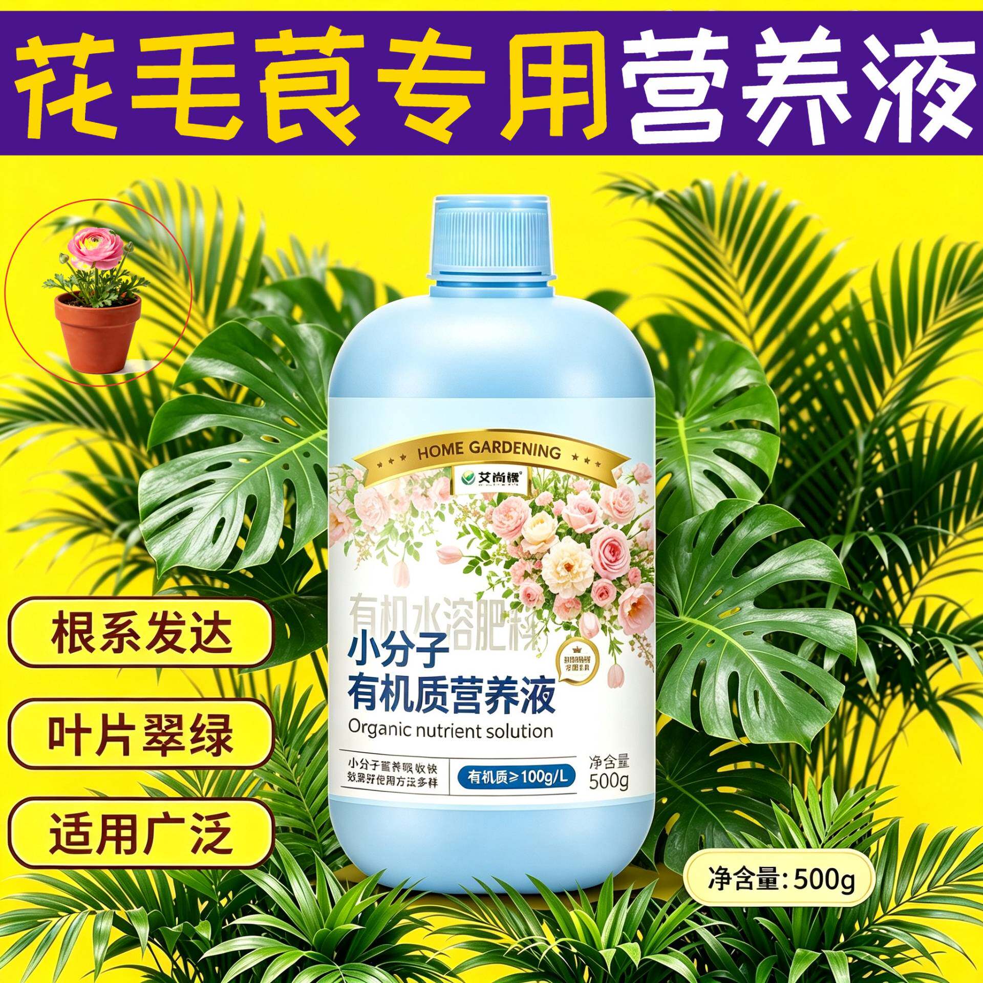 花毛茛适用小分子有机质水溶肥叶绿花艳盆栽园艺家用营养均衡专用