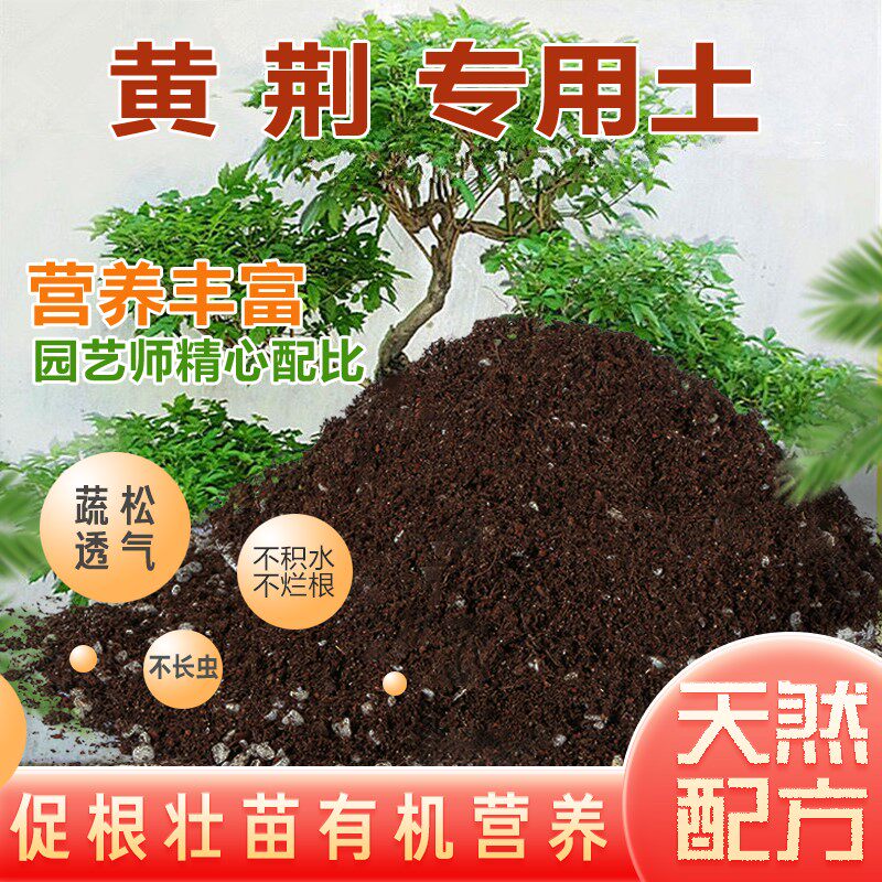 黄荆土黄荆专用土盆景土壤酸性沙质盆栽营养土家用土绿植种植肥料