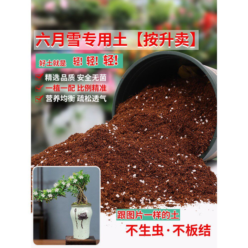 六月雪专用土盆栽有机肥料种花泥土专用营养土种植土养花土花卉土