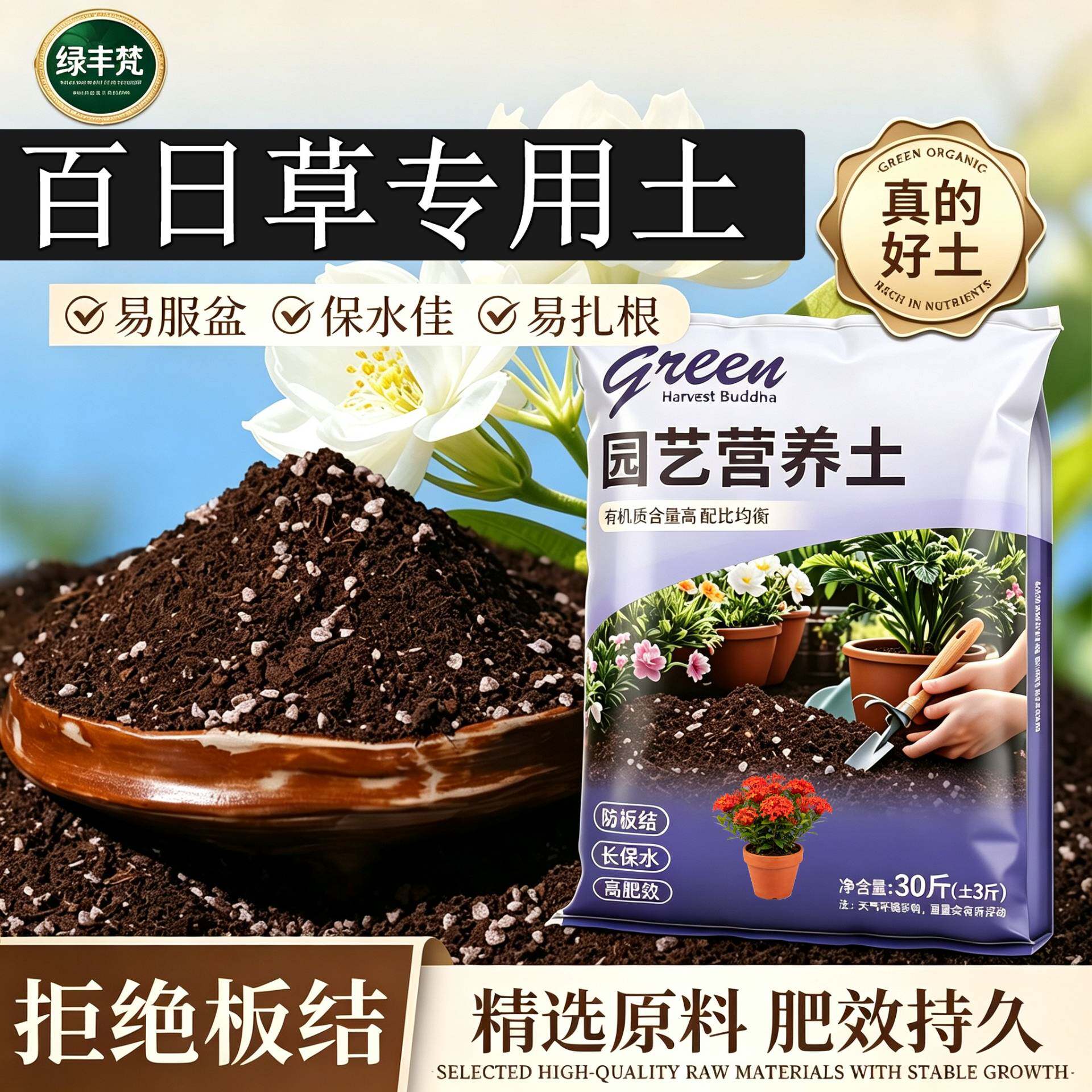 百日草适用有机土高温腐熟加珍珠岩菜园加牛粪精选防黄叶球根盆栽