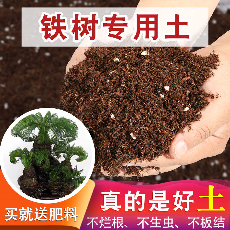 铁树专用土营养土种花通用型土壤花泥植物花卉专用营养土养花种树