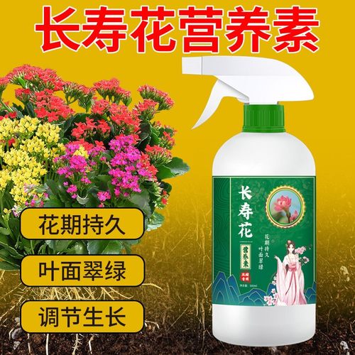 长寿花营养素壮苗增营养四季通用易吸收花卉绿植通用大容量直喷型
