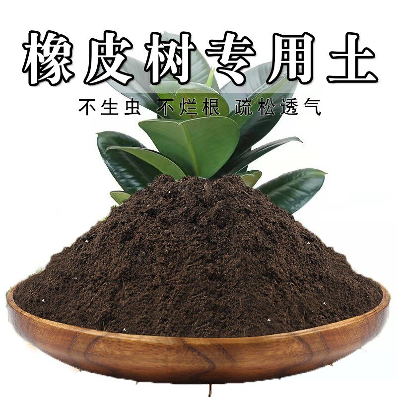 橡皮树专用土橡皮树专用营养土园艺花土有机肥透气发酵家庭种植土