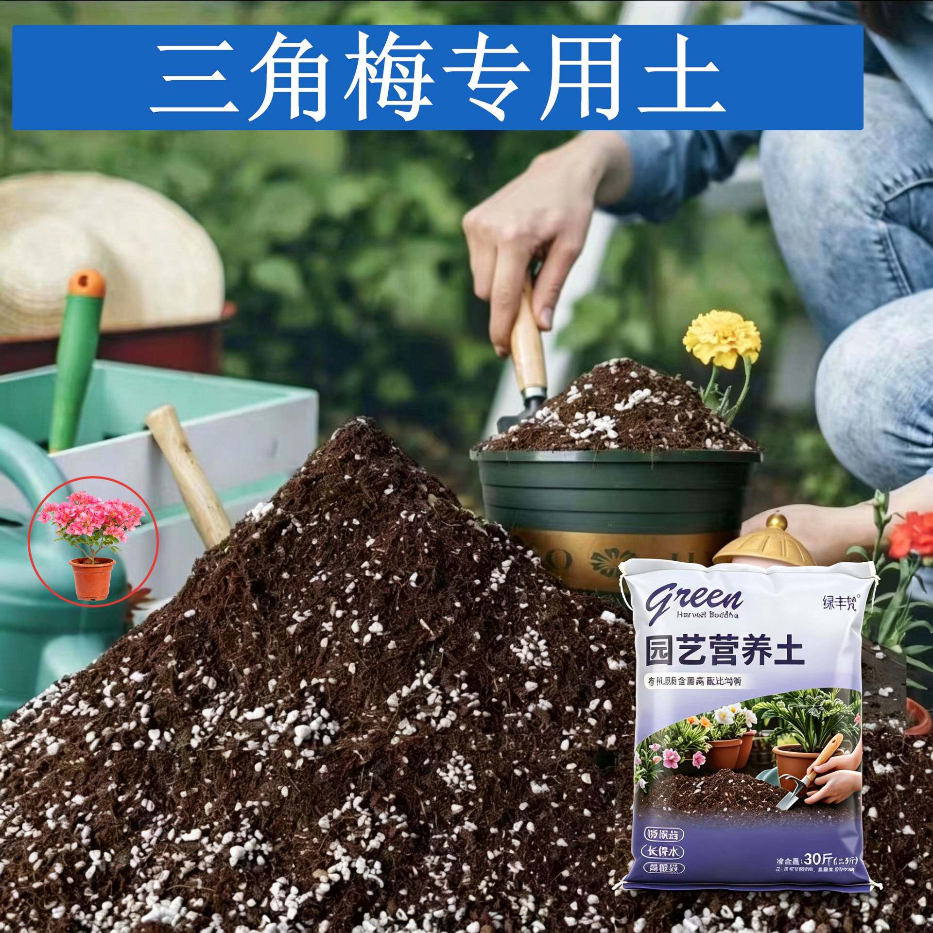 三角梅适用种植土保水保肥根壮苗好育苗加深生根粉有机防徒长球根