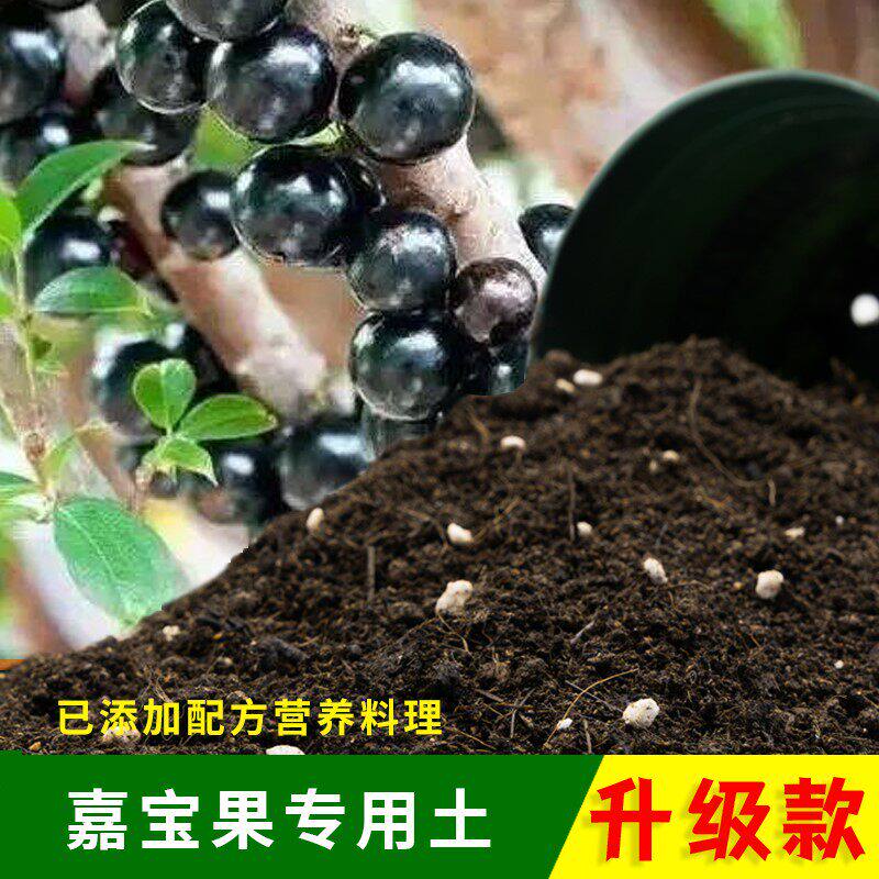 嘉宝果专用土农业园艺绿植盆栽嘉宝果营养土果树泥炭有机土肥料土
