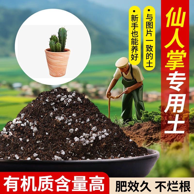 仙人掌营养土透气疏松含泥炭肥料通用有机种植土轻质土壤专用土