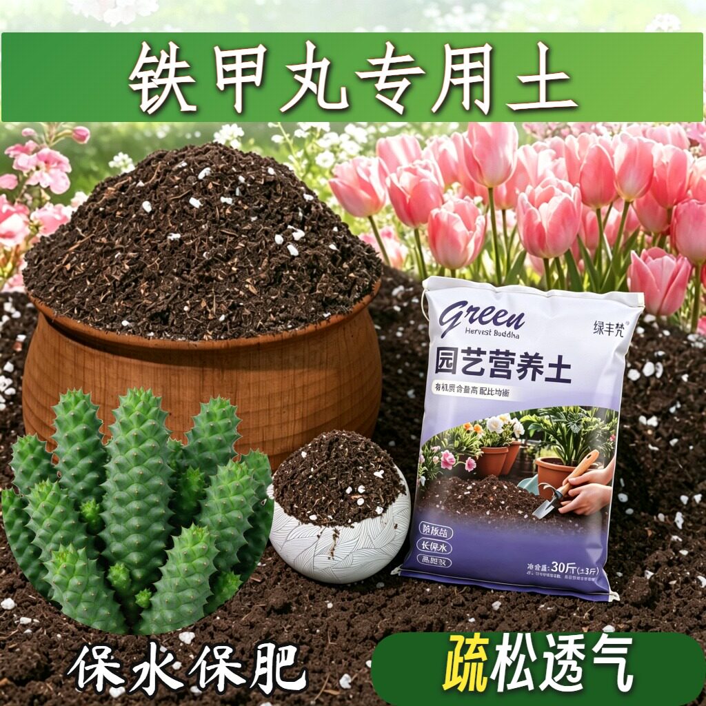 铁甲丸专用种植土根壮苗好园艺加深生根粉进口绿叶球根加牛粪盆栽