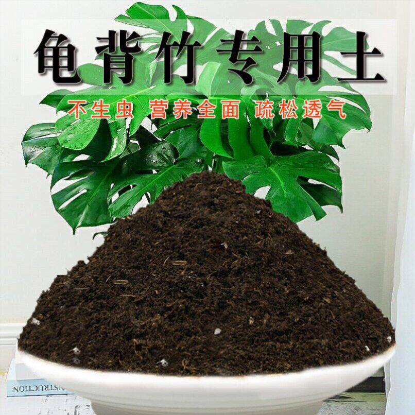 龟背竹专用土疏松龟背竹营养土透气花园泥土盆栽椰砖栽培土植物土