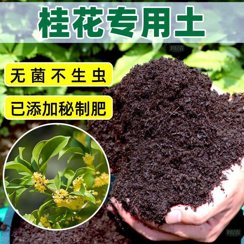 桂花专用土种花营养土家用盆栽肥料种植土壤养花植物通用有机花土